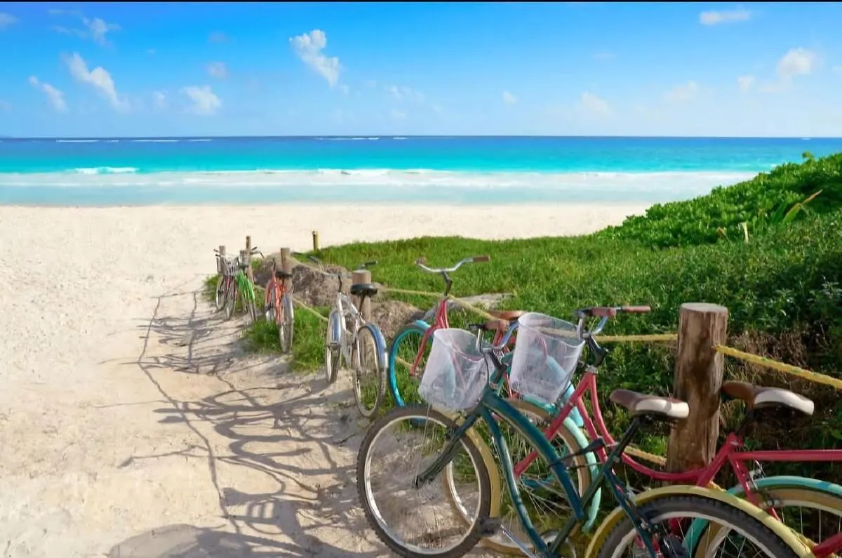 Brand New Penthouse Jungle Views 2 Bdr Sleeps 6 Villa Tulum