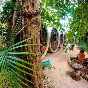Tubo Albergue